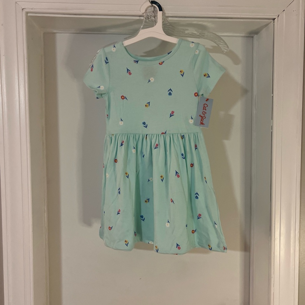 NWTCat & Jack Girl's Size 5T Mint Floral Dress